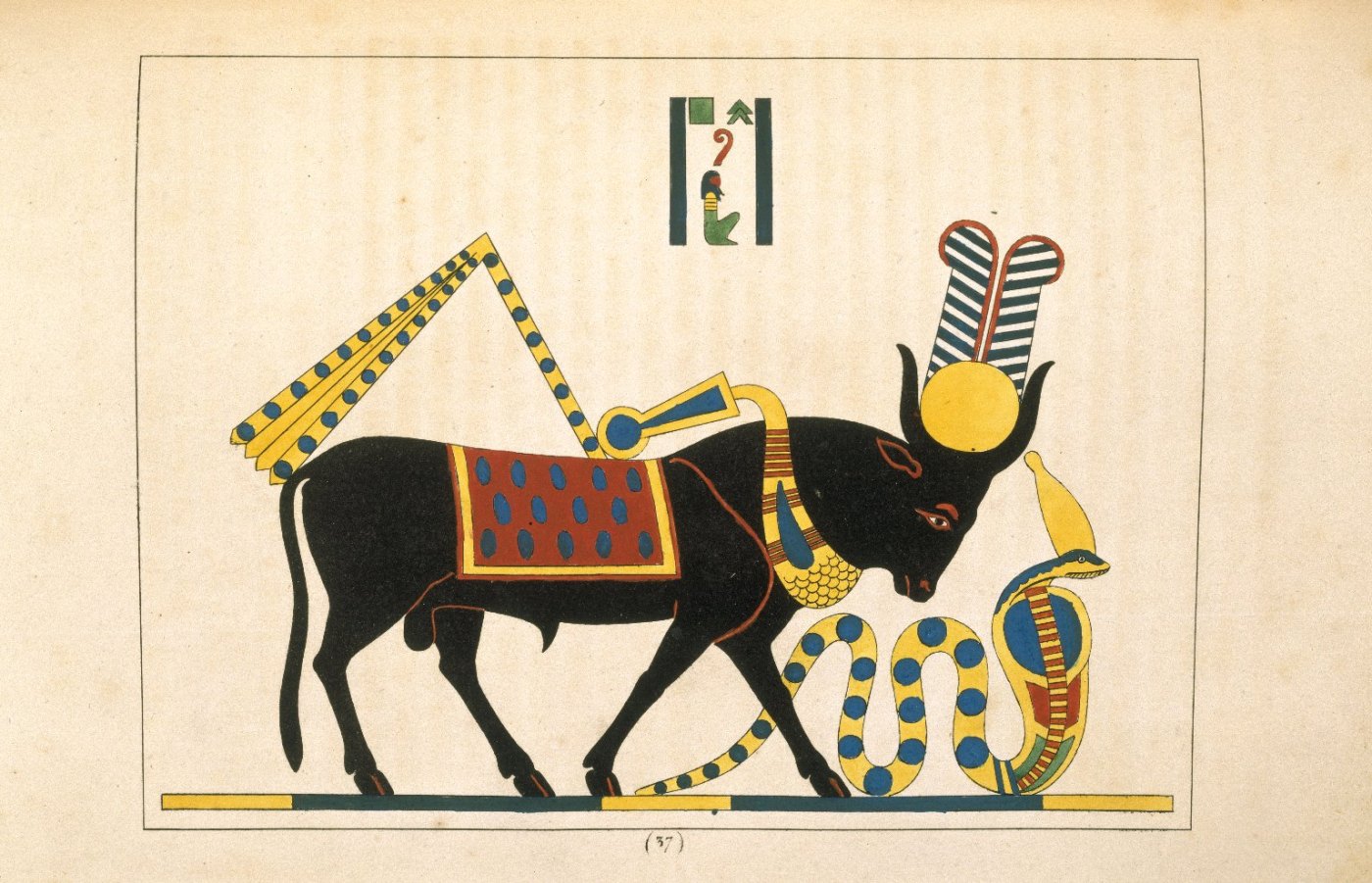 The Apis Bull – Ancient Egyptian History